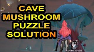 Cave Mushroom Puzzle Solution Vera Tower of Fantasy