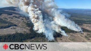 Wildfires prompt evacuation alerts in northern B.C. Alberta