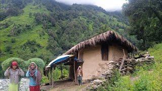 Nepali Mountain Village Life  most peaceful & Relaxing mountain village Live With beautiful Nature