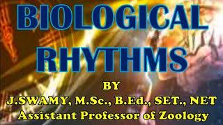 BIOLOGICAL RHYTHMS