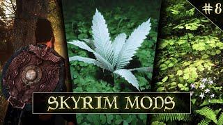 Skyrim Mods You Should Not Miss Out On Weekly Dose Of Skyrim Mods #8