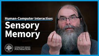 What is Sensory Memory and How Does it Work. Human Memory in HCI