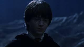 The Forbidden Forest Part 2  Harry Potter and the Sorcerers Stone