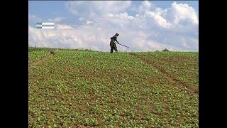 Щрихи от нашите села - село Церово