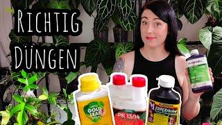 Zimmerpflanzen richtig DÜNGEN  meine Routine