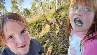 FEEDiNG A REAL FOX  Camping with Animals Adley catches a Fish Best family trip to the cabin Ever