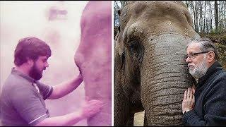Herzerwärmend Elefant erkennt Pfleger nach 30 Jahren wieder