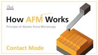 Contact Mode  How AFM Works - Principle of Atomic Force Microscopy