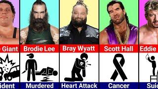 How WWE Wrestlers Died