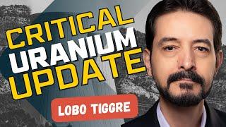  WATCH THIS The Next Catalyst for Higher Uranium Prices - Lobo Tiggre @TheIndependentSpeculator
