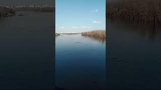 The Sozh River overflows in Gomel flooding citys main beach #shorts