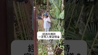 經過吊橋時一定有人做過這樣 #大久保麻梨子