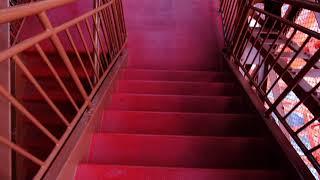 taking the stairs down tokyo tower