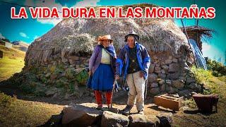 Así es la VIDA de una PAREJA DE ANCIANOS en los Andes Peruanos  DOCUMENTAL