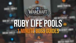 Ruby Life Pools  1 Minute Boss Guides  Dragonflight Season 1