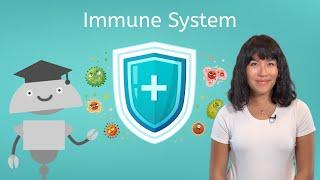 Immune System - Biology for Teens