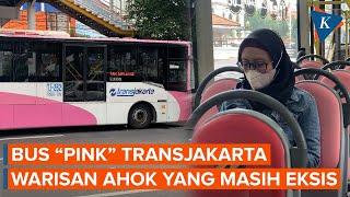 Kurangi Risiko Pelecehan Seksual Transjakarta Tambah 10 Bus Pink Khusus Wanita