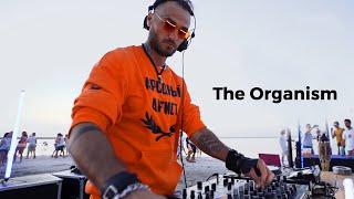 The Organism - Live @ WAVE  Pink Lake Spot Guide Home Spot Ukraine  Melodic Techno Mix