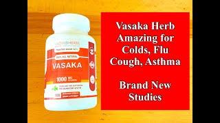 Vasaka Herb Amazing for Colds Flu Cough Asthma - Brand New Studies