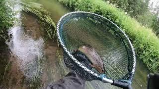 Fly Fishing Нахлыст Форель и Хариус рыбалка на маленьких реках. Trout & Grayling.