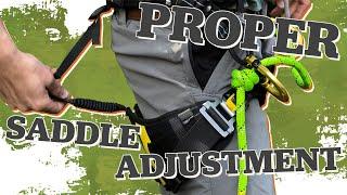 How to Properly Adjust your Tree Climbing Saddle - TreeStuff