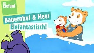 Bobo besucht einen Bauernhof für Kinder & Bobo fährt ans Meer  Der Elefant  WDR