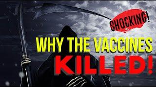 Dr  Michael Yeadon   Why the Vaccines Killed