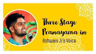 Three Stage Pranayama in Ashwani Jis Voice  The Art of Living