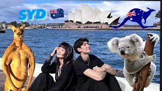 Sydney vlog шинэ тив үзлээ