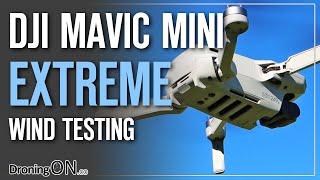 DJI Mavic Mini EXTREME Wind Testing 38kph25mph