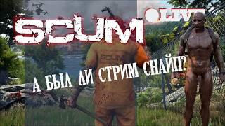 А БЫЛ ЛИ СТРИМСНАЙП? РАЗБОР ЗАМЕСА В SCUM