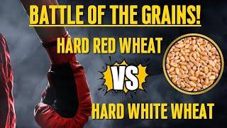 Differences Between Hard Red Wheat & Hard White Wheat  Which Wheat is Best?