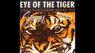 Eye of the Tiger GuitaristSongwriter Explains Stallones Approval for Rocky 3