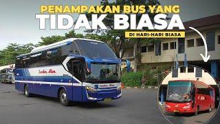 PENAMPAKAN HINO RM280 TERBARU TIVIDI DAN SUMBER ALAM SR3 di Terminal Bus Giwangan