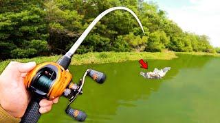 Fishing for 15lb Bass w Topwater in HIDDEN Trophy Pond