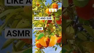 #asmr #jeruk #viral #trending