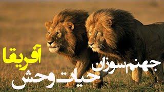 جهنم سوزناک بر حیات وحش بزرگ آفریقا