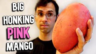 The Phoenix Mango - Its Big Its Pink Its Expensive But Is It Good?