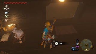 Breath of the Wild - Guide How to Sleep With Paya
