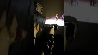 Собаки смотрят кино Dogs watch movies