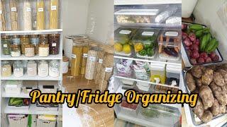 KITCHEN MONTHLY RESET SMALL PANTRY & FRIDGE ORGANIZATIONTyna loice