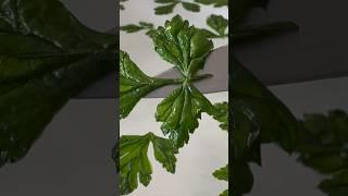 Crispy Dried Parsley #shorts #youtubeshorts #cooking #tips #food #