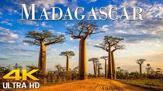 Madagascar 4K - Scenic Relaxation Film With Calming Music  Scenic Film Nature