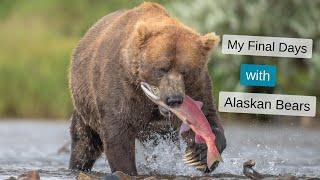 The hardest decision as a Wildlife Photographer. Photographing Bears fishing in Alaska Final Part