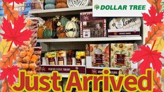 DOLLAR TREESHOCKING NEW FINDS FOR $1.25 & UP‼️ #new #dollartree #shopping