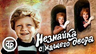 Незнайка с нашего двора 1983