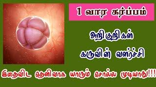 pregnancy symptoms first week in tamil  symptoms of pregnancy first week in tamil