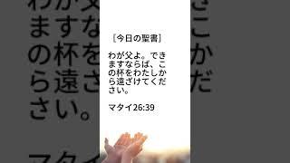 自分の願いvs神の願い［ 毎日30秒 聖書メッセージ ］