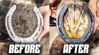 Satisfying Back Hoof Restoration  4K ASMR