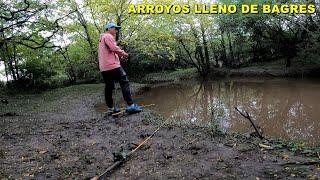 PESCA Y NATURALEZA EN DOS ARROYOS LLENO DE BAGRES. Lugares Increibles PESCANDO Y CONOCIENDO